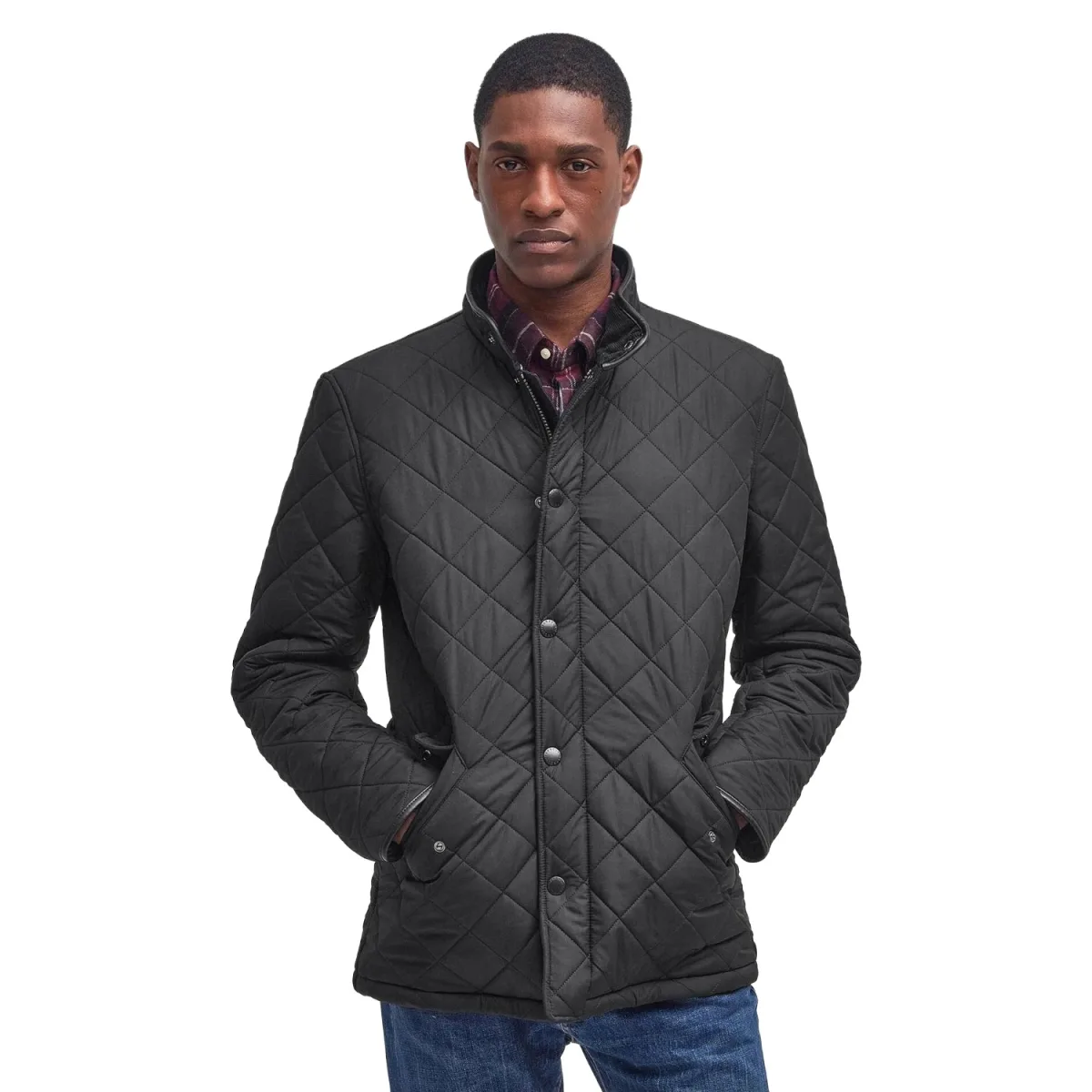 Herren Powell Steppjacke